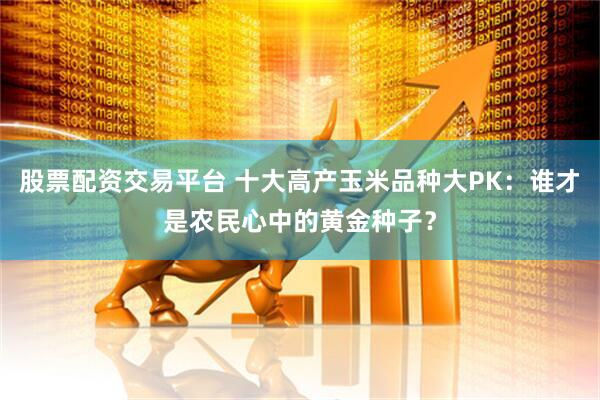股票配资交易平台 十大高产玉米品种大PK：谁才是农民心中的黄金种子？