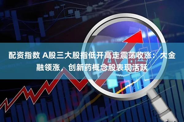 配资指数 A股三大股指低开高走震荡收涨：大金融领涨，创新药概念股表现活跃