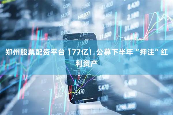 郑州股票配资平台 177亿!公募下半年“押注”红利资产